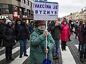 Na Václavském náměstí v Praze se sešli odpůrci povinného očkování proti...