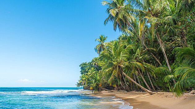 Název Kostariky v překladu znamená „bohaté pobřeží“ a pestrost zdejší přírody je skutečně velkolepá.