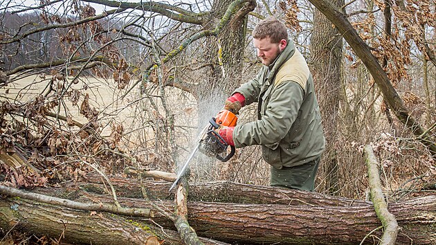 Lesníci se s následky silné vichřice u Vrbenských rybníků v Českých Budějovicích potýkají už přes půl roku.