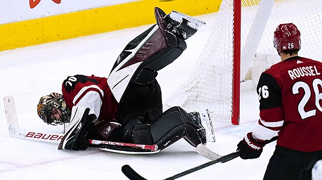 Karel Vejmelka z Arizona Coyotes zasahuje v z�pase s Winnipeg Jets.