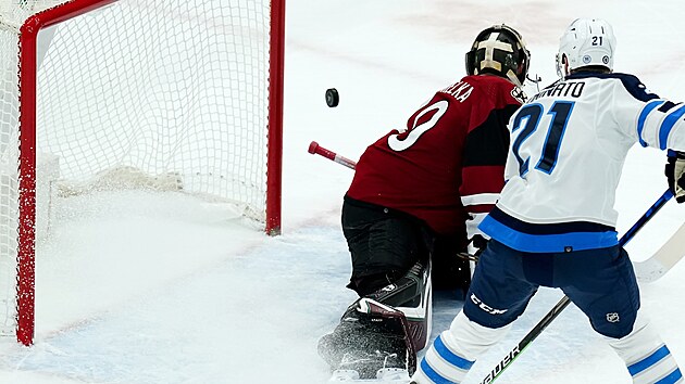 Karel Vejmelka z Arizona Coyotes v z�pase s Winnipeg Jets, p�ed jeho brankou st�nuje Dominic Toninato.
