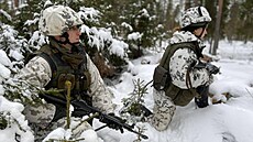 Finská armáda dodnes čerpá prestiž ze svého odporu proti Rudé armádě během tzv.... | na serveru Lidovky.cz | aktuální zprávy