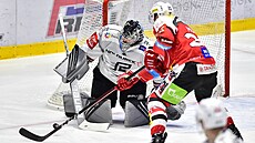 Utkání 39. kola hokejové extraligy: HC Dynamo Pardubice - HC Energie Karlovy...