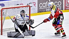 Utkání 39. kola hokejové extraligy: HC Dynamo Pardubice - HC Energie Karlovy...