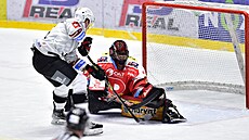 Utkání 39. kola hokejové extraligy: HC Dynamo Pardubice - HC Energie Karlovy...