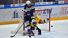 Utkání 39. kola hokejové extraligy, HC Kometa Brno - Motor eské Budjovice....