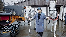 Pan František Plecitý pracuje s koňmi celý život.