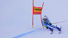 Italka Marta Bassinová bhem obího slalomu v Kranjské Goe.