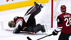 Karel Vejmelka z Arizona Coyotes zasahuje v zápase s Winnipeg Jets.