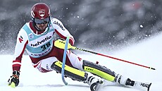 Rakouský ly�a� Johannes Strolz na trati slalomu v Adelbodenu