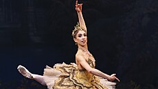 V Janákov divadle v únoru mimoádn zataní hned ti první sólisté...