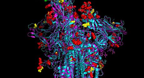 Zobrazení jednoho z 3D model protein variant koronaviru delta a omikron, které vytvoil olomoucký vdec Karel Berka. Pro zobrazení celého obrázku kliknte.