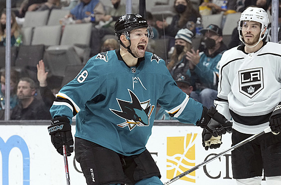 Tomá� Hertl ze San Jose se roz�iluje.