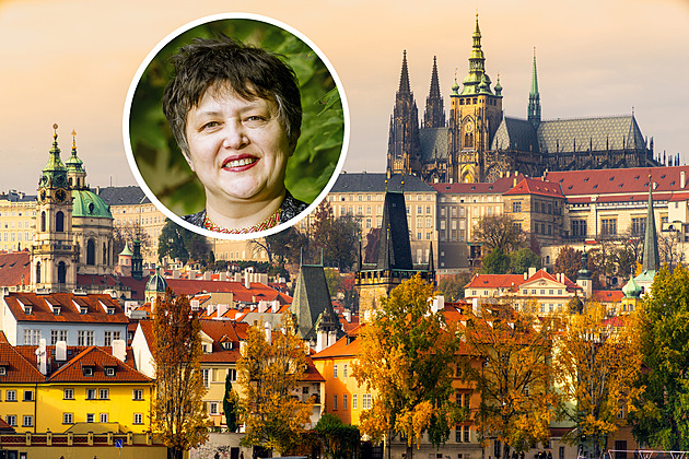 Hrad kvůli výrokům o Zemanově cirhóze žádá milion a omluvu, uvedla Stehlíková