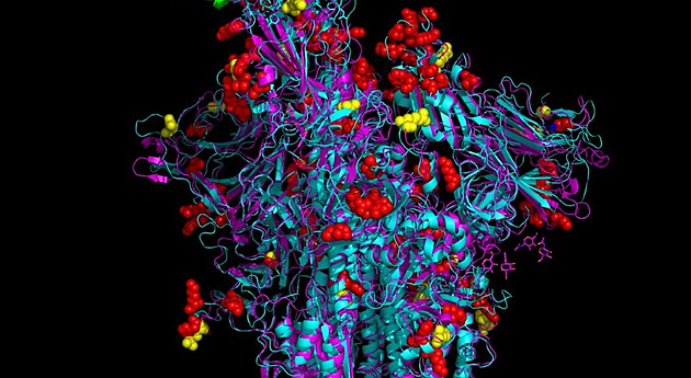 Zobrazení jednoho z 3D modelů proteinů variant koronaviru delta a omikron,...