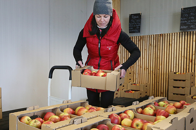 České jablko mizí, pomohly by kontroly původu ovoce, říká majitel sadů