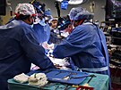 Amerití lékai provedli prlomovou operaci, pacient získal srdce z geneticky...