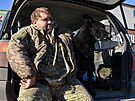 Toulaví psi dlají na frontové linii vítanou spolenost ukrajinským vojákm....