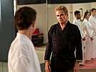 Cobra Kai se odehrává po více ne ticeti letech od turnaje All Valley Karate,...