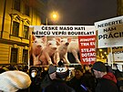 Zemdlci protestují v Praze. (11. ledna 2022)