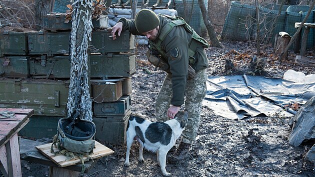 Toulaví psi dělají na frontové linii vítanou společnost ukrajinským vojákům. (30. listopadu 2021)
