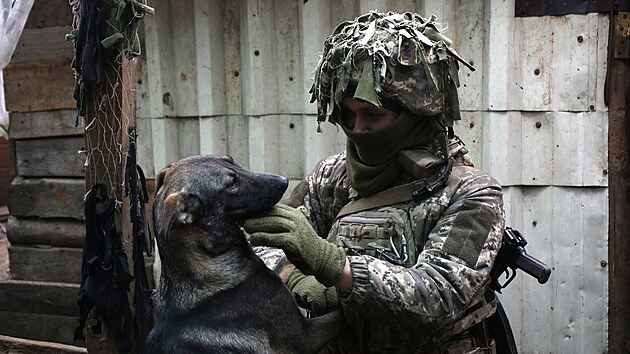 Toulav psi dlaj na frontov linii vtanou spolenost ukrajinskm vojkm. (9. ledna 2022)
