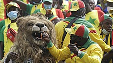 Fanoušci Senegalu se baví při utkání Afrického poháru.