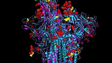 Zobrazení jednoho z 3D modelů proteinů variant koronaviru delta a omikron,... | na serveru Lidovky.cz | aktuální zprávy
