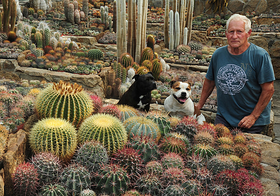 Rudolf Slaba má své kaktusy ve sklenících v Tálín.