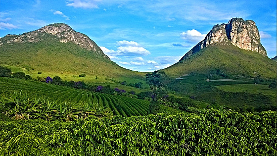 Kávová plantá v oblasti Chapada Diamantina v Brazílii. Jak to tu bude vypadat...