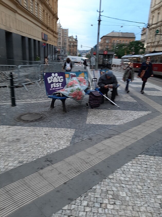 Kadý den se vyskytuji na trase metra C - námstí I.P. Pavlova. Moná byste v rámci rzných soutí mohli vyhlásit taky sout o nejodpornjí a nejpinavjí vstup do metra vetn jeho okolí. Od léta mám pár fotek - aby ostatní vidli,  na co kadé rá