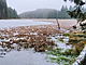 Bývalá klauza Huťský rybník leží v lůně Novohradských hor.