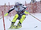 Dave Ryding na trati slalomu v Kitzbühlu