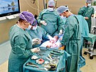 L�ka�i v Ba�ov� nemocnici ve Zl�n� p�enesli ��st l�tkov� kosti do rozdrcen�ho...