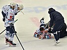 44. kolo hokejové extraligy: HC Energie Karlovy Vary - HC koda Plze. Zranný...