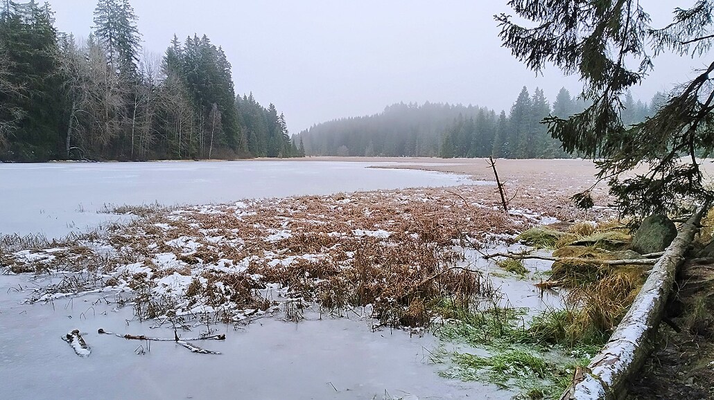 Bývalá klauza Hu�ský rybník le�í v l�n� Novohradských hor.