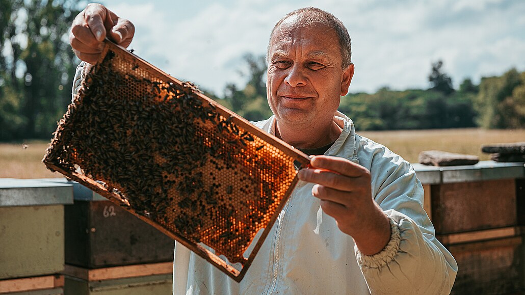 Jan Kubeš se věnuje včelaření už přes dvacet let. Kdysi začínal s deseti...