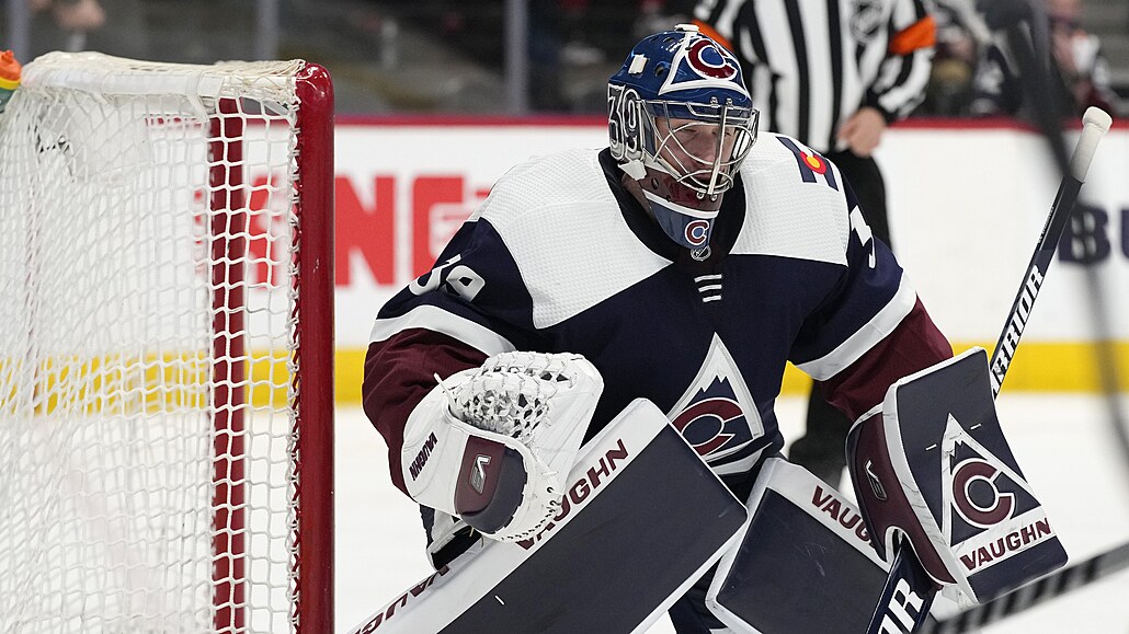 Pavel Francouz v brán� Colorado Avalanche