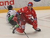 Třinecký Marko Daňo se zvedá z ledu v zápase proti Mladé Boleslavi.
