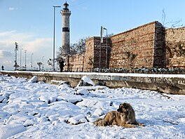 Turecko a ecko zasypaly pívaly snhu. Snímek pochází z Istanbulu. (23. ledna...