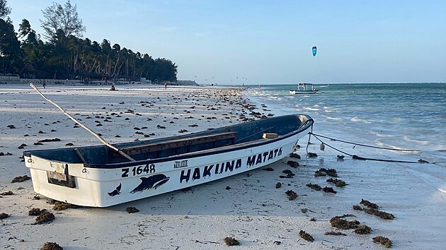 Hakuna matata je svahilsk frze vyjadujc bezstarostnost. Problmy na Zanzibaru nem zejm nikdo.