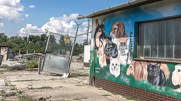 Torn�do v hodon�nsk�m �tulku pro opu�t�n� zv��ata v �ervnu nap�chalo obrovsk� �kody. Are�l z�st�v� pr�zdn�.