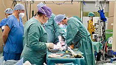 Léka�i v Ba�ov� nemocnici ve Zlín� p�enesli �ást lýtkové kosti do rozdrceného...