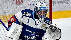 46. kolo hokejové extraligy: HC Kometa Brno - HC Energie Karlovy Vary. Branká...