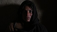 Ticetiletá Afghánka Bibizana prodala vlastní ledvinu i jednu ze svých dcer,...