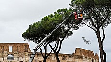 Ikonické borovice v italském hlavním mst obklopují nejznámjí svtový...