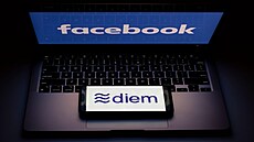 Konsorcium Diem Association, které v roce 2019 založila společnost Facebook za...