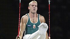 Maďarský sportovní gymnasta Szilveszter Csollány na snímku z roku 2002.