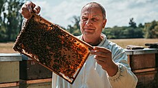 Jan Kubeš se věnuje včelaření už přes dvacet let. Kdysi začínal s deseti... | na serveru Lidovky.cz | aktuální zprávy