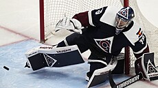 Pavel Francouz v brán� Colorado Avalanche